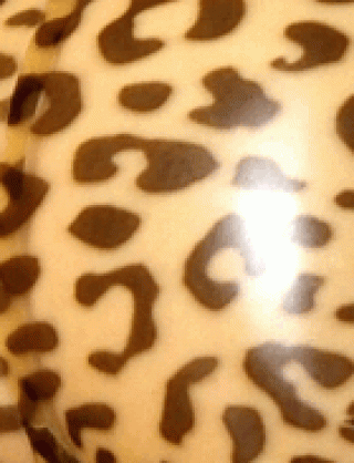 Struktur Latex Translucent Leo